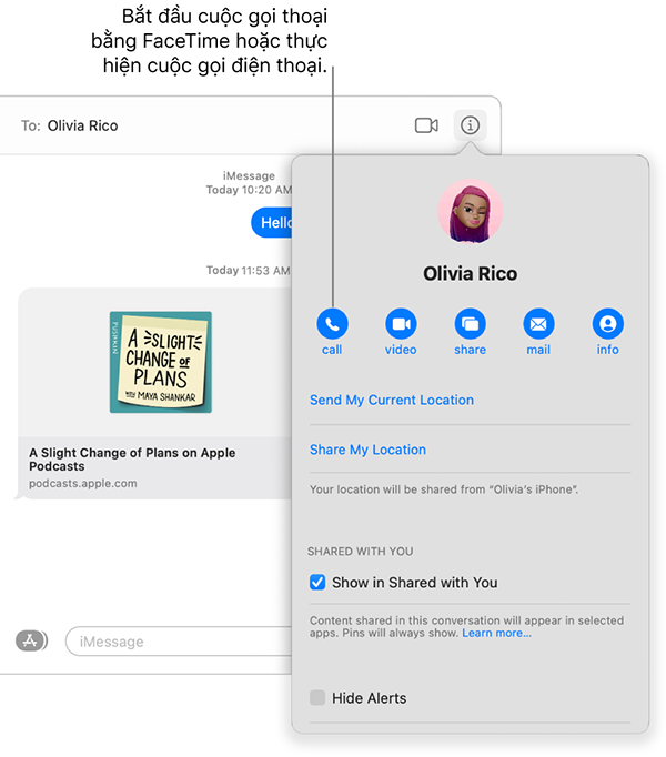 Khi có cuộc gọi FaceTime tới người dùng có thể trả lời với tính năng chờ cuộc gọi